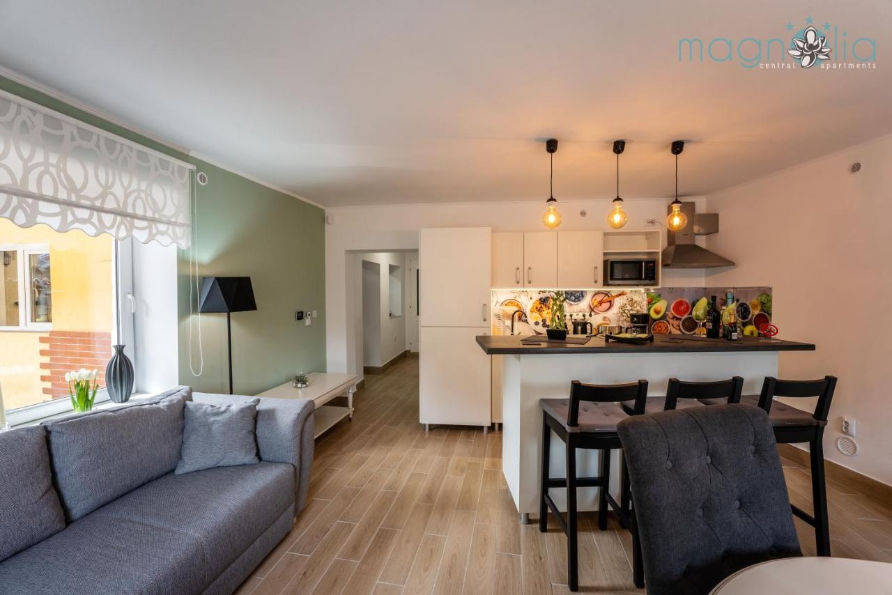 Magnolia Central Apartment #1 시기쇼아라 외부 사진